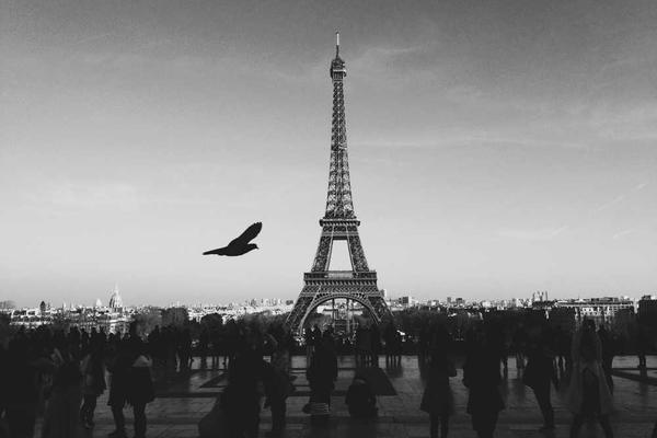 Global Diversification Benefits Global Diversification Benefits: Why European Families Need Worldwide Investments - investment education guide