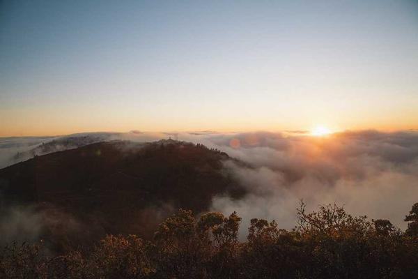 European Broker Comparison Guide European Broker Comparison: Choose the Best Platform to Grow Your Money - investment education guide