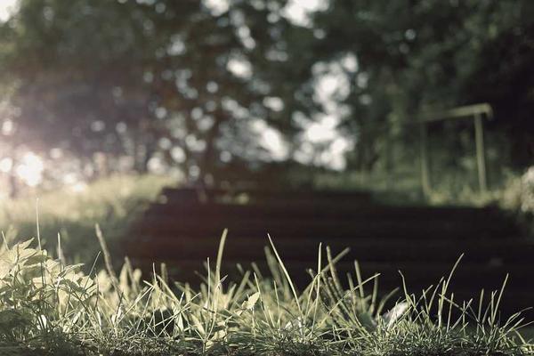 Picsum ID: 94 Investment for Beginners: Essential Knowledge Every European Parent Needs to Build Family Wealth