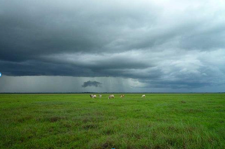 Why Self-Employed Investing is Different (And Often Better Why Self-Employed Investing is Different (And Often Better)