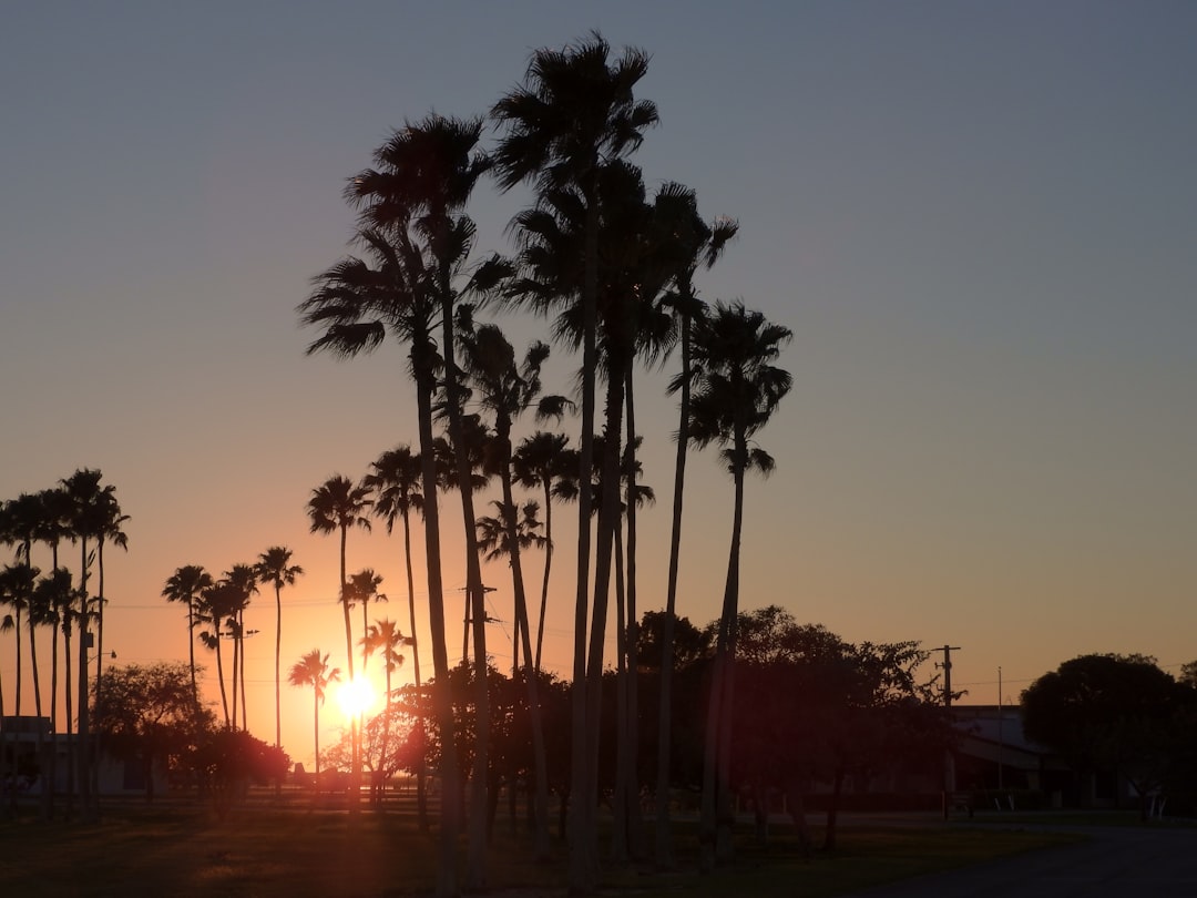 image-5 Photo Business professionals