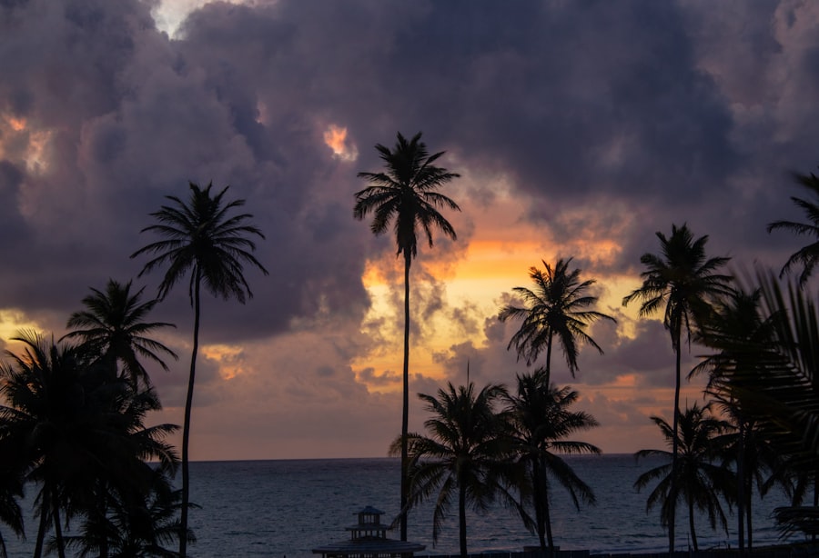 Investing in AMD Stock: A Smart Move - Learn with Sebastian Tudor Photo Business professionals