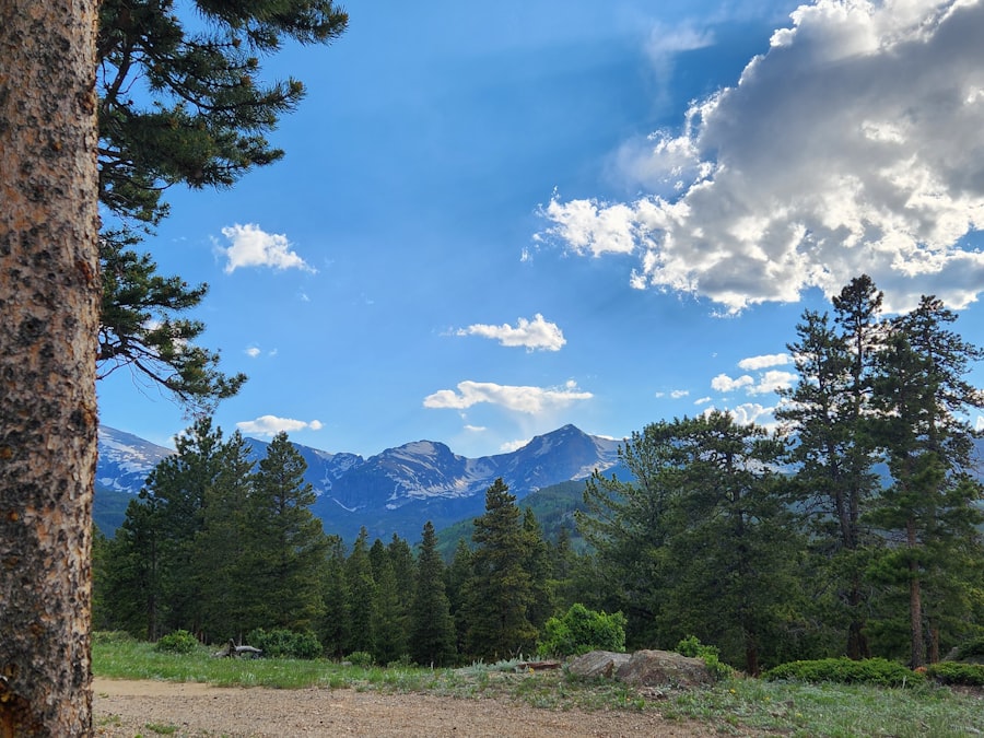 Peaceful nature landscape