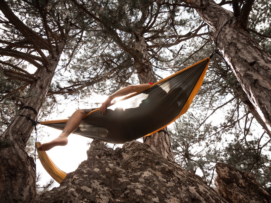 Photo Hammock relaxation scene