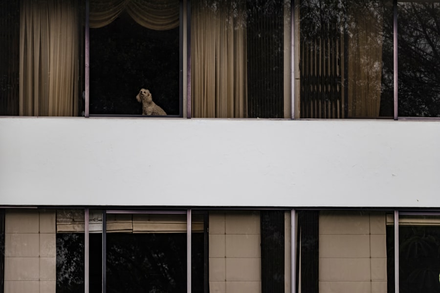 Investor looking at charts